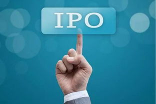 What is an IPO? - 金融英語(yǔ)口譯翻譯服務(wù)