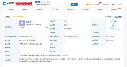 計算機系統服務 數字化時代的基石與引擎